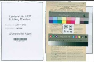 Entnazifizierung Adam Gronenschild , geb. 06.02.1920 (Ingenieur)