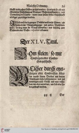 Titul XLV. Vom Stehlen/ so mit Eynsteigen oder Eynbruchen geschicht