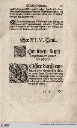 Titul XLV. Vom Stehlen/ so mit Eynsteigen oder Eynbruchen geschicht