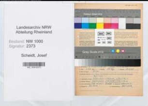 Entnazifizierung Josef Scheidt, geb. 10.12.1905 (Landesinspektor)
