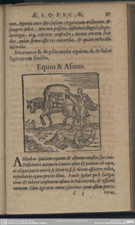 Equus & Asinus