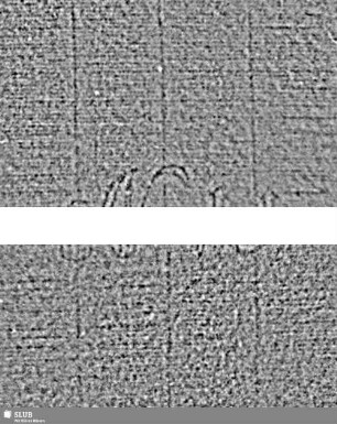 Buchstaben N [M] (Band 1, Seiten 271/272/275/276)