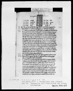 Evangeliar aus Alspach (Elsass) — Zierleiste im Intercolumnium, Folio 65recto