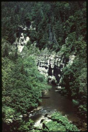 Wutachschlucht im Schwarzwald