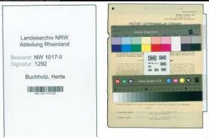 Entnazifizierung Herta Buchholz , geb. 11.03.1901 (Verkaufsstellenverwalterin)