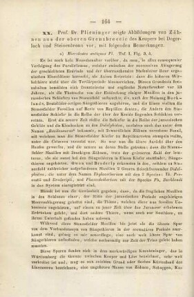 Hermann von Meyer: Palaeochelys bussenensis im älteren Süsswasserkalk