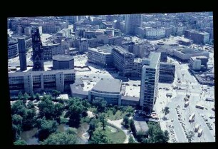 Zoo-Gegend 7.6.62.