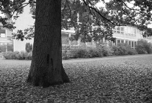 Konflikt zwischen der Waldschule im Weiherfeld und der Sonderschule für bildungsschwache Kinder und Jugendliche im Weiherfeld im Scheibenhardter Weg 23 um die Nutzung von Schulräumen