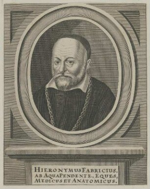Bildnis des Hieronymus Fabricius ab Aquapendente