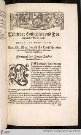 Teutscher Concepten und Formulen der Erste theil