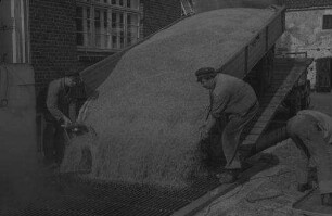 Burgstaaken: Ausladen von Gerste vor dem Silo
