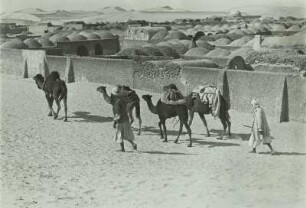 Oase El Wed (Algerien), Kamelkarawane