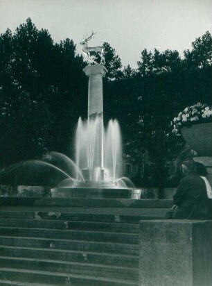 Stadtpark Schöneberg. Hirschbrunnen am Abend