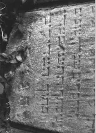 Grabstein 240 (Index: 100009203) Zustand: Vorderseite stark verwittert Maße HxBxT: 142x59x18 cm: Grabstein 240D