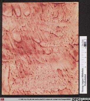 Dissertatio Chemico Medica Solemnis De Praeparatione Tinctvrae Antimonii Acris Concentratae