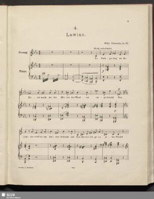 4. Lawine.