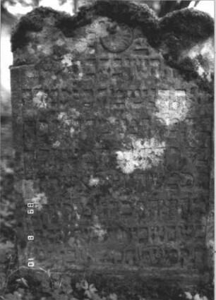 Grabstein 233 (Index: 99799959) Material: Sandstein Zustand: stark verwittert, teilw. Textverlust Maße HxBxT: 96x55x8 cm Beschreibung: Stele, dreibogiger Abschluß, Schriftfeld eingetieft Symbolik: Rosette: Grabstein 233 (Detailaufnahme)