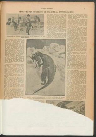 Maravillosa aparición de un animal antediluviano [incompleto]