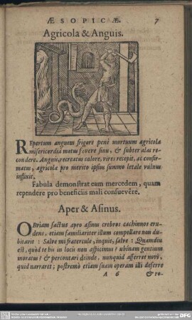 Agricola & Anguis