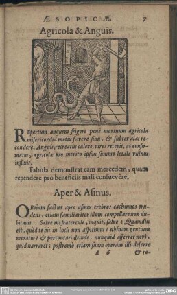 Agricola & Anguis