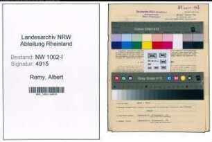 Entnazifizierung Albert Remy, geb. 25.11.1894 (Buchhalter)