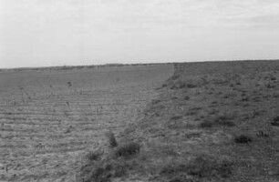Feld : Blick über ein Feld