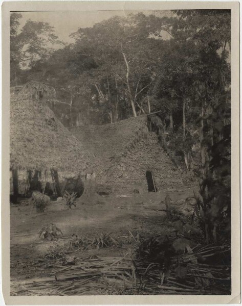 View of the men's house in a Chácobo village