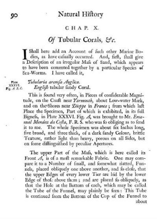 Chap. X. Of Tubular Corals, &c.