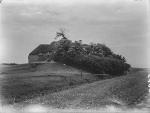 Friesendorf : Häuser eines friesischen Dorfes auf einem Hügel