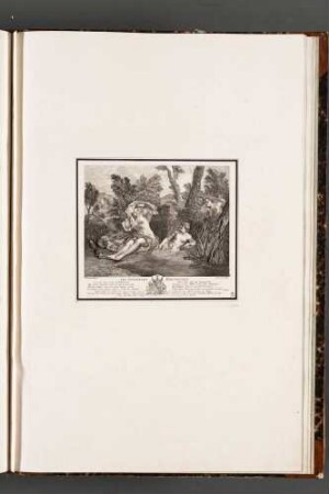 Les gentilles baigneuses (Die liebreizenden Badenden)