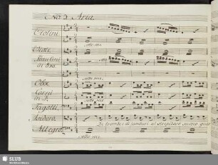 Aria: Di trombe e di tamburi