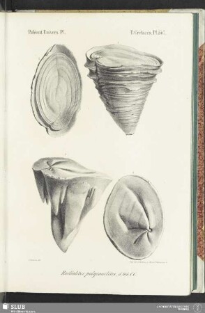 Pl. 547