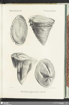 Pl. 547
