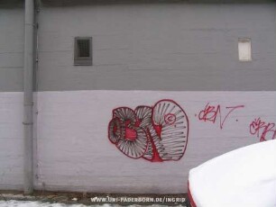 oBN