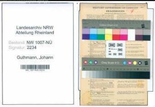 Entnazifizierung Johann Guthmann , geb. 11.06.1896 (Gefluegelzuechter)