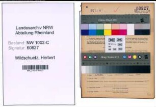 Entnazifizierung Herbert Wildschuetz, geb. 05.11.1900 (Kaufmann)
