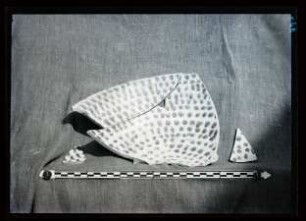 Keramik: chinesische Scherben, Sam 784 b