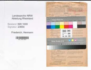 Entnazifizierung Hermann Friederich, geb. 10.02.1881 (Generalconsul)