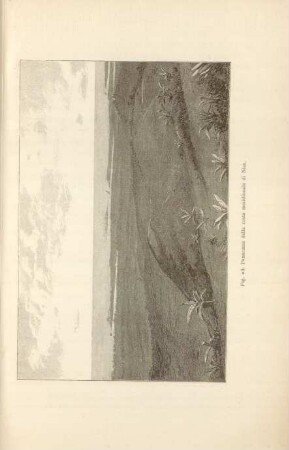 Fig. 23. Panorama della costa meridionale di Nías