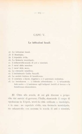 Capo V. Le istituzioni locali