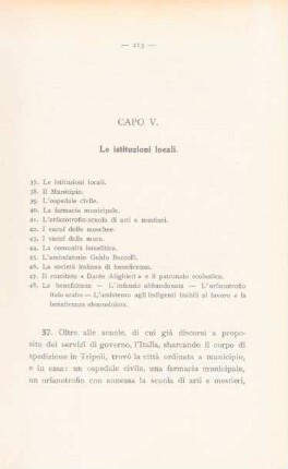 Capo V. Le istituzioni locali