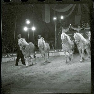 Circus Williams - Vorstellung - Tiere, ohne Ortsangabe, 1959