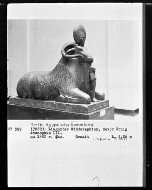 Widder und König Amenophis III.