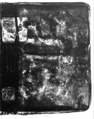 Martin von Amberg. Passion. Reimlegenden (Katharina, Dorothea, Barbara, Margaretha) - BSB Cgm 478