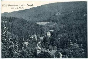 Bärenburg. Blick auf Wald-Bärenburg