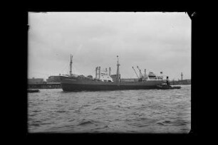 Catherine Sartori (1954), Frachtschiff, Sartori & Berger, Kiel, Bau-Nr. 570
