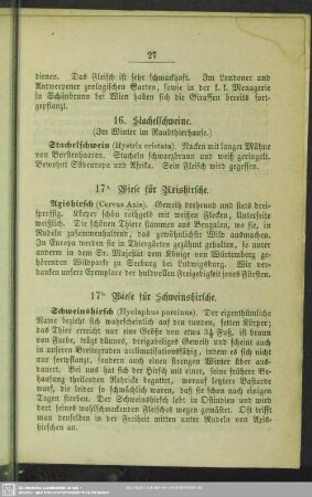 16. Stachelschweine