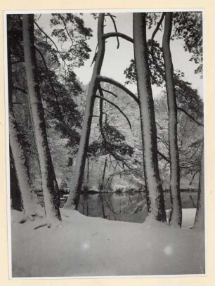Donoperteich im Winter. Hiddesen