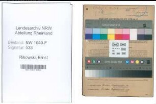 Entnazifizierung Ernst Rikowski , geb. 09.05.1909 (Zollassistent)