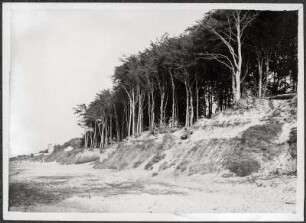Ostseebad Henkenhagen (Ustronie Morskie/Polen). Dünenlandschaft